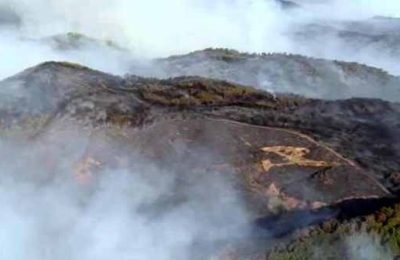 2009 yılından bugüne 83 bin 557 futbol sahası büyüklüğünde orman yandı