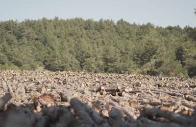 İstanbul Kaz Dağları için Toplanıyor