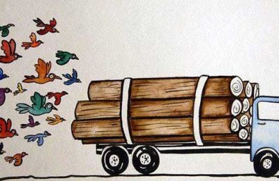 Bu belgeselde Direniş VAR