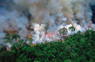 El değmemiş doğa kaldı mı? Doğa can çekişiyor…
