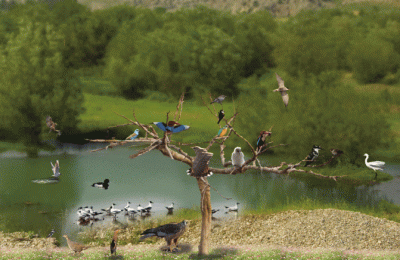 Adnan Genç yazdı; “Dayanışma Kampanyalarını Ciddiye Almanın Önemi ve Değeri”