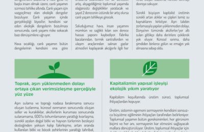 Eko-sosyalist “Yeryüzü Ekoloji Kolektifi” Kuruldu