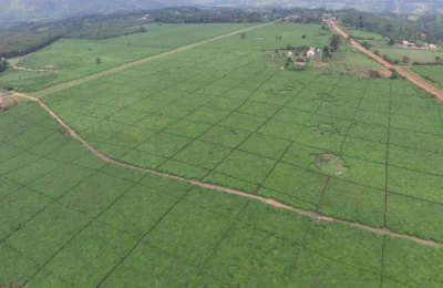 Arsa Bölme (İfraz) Nasıl Yapılır?