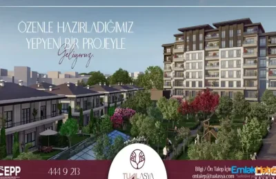 Tual Asya Projesi Ve Fiyat Listesi