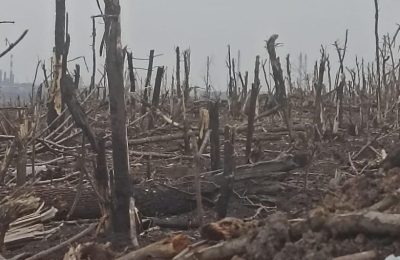 Savaşlar Doğaya da Yıkım Getiriyor