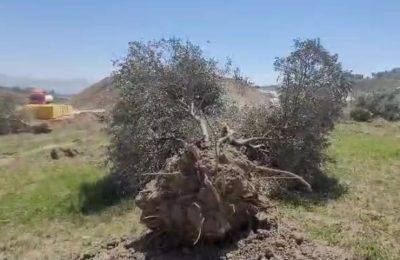 İAK: Hatay’da Mülkler Gasbediliyor Doğa Yağmalanıyor