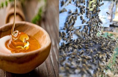 Ham balın gizli gücü: Bağışıklık, enerji ve mutluluk kaynağı