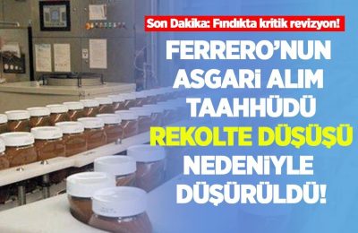 Son Dakika: Fındıkta kritik revizyon! Ferrero’nun asgari alım taahhüdü rekolte düşüşü nedeniyle düşürüldü!