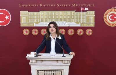 Koçyiğit: İmralı ziyaretiyle barış sürecinde kritik bir eşik aşıldı