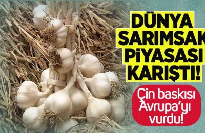 Dünya sarımsak piyasası karıştı: Çin baskısı Avrupa’yı vurdu