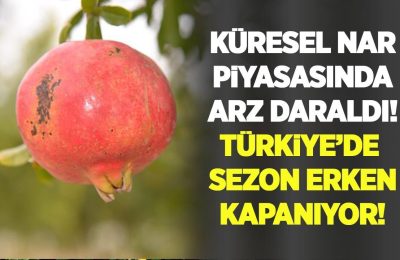 Küresel nar piyasasında arz daraldı, Türkiye’de sezon erken kapanıyor