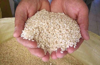 Pirinç fiyatları yüzde 11 arttı: Küresel piyasada yeni dengeler oluşuyor