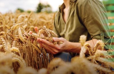 Enflasyon ve kurdan bağımsız tarım mümkün mü? İşte çiftçiyi kurtaracak o “Net Değer” analizi