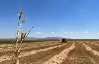 Çiftçilere 338 milyon liralık destek ödemesi yapıldı