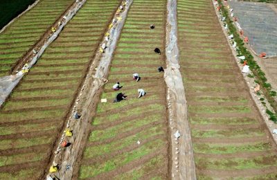 Tarım kredisinde yeni düzenleme çiftçiyi nasıl etkileyecek?