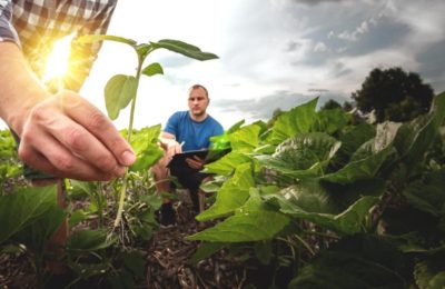 Avrupa’daki çiftçiler ne kadar kazanıyor? Tarımsal destekler çıkarılınca gelirler düşüyor