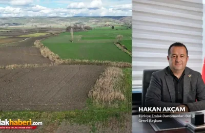 Hisseli Arsalarda Kilitlenen Süreçler İçin Yeni Düzenleme Talebi Meclis Yolunda