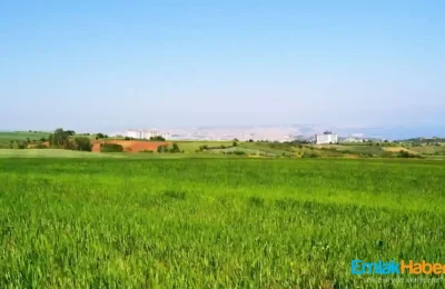 Yargıtay 7. Hukuk Dairesi’nden Paylı Mülkiyette Ön Alım Hakkına İlişkin Emsal Karar