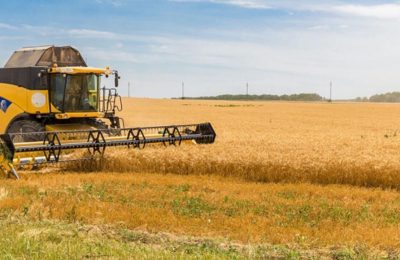 Karadeniz buğday piyasasında fiyatlar yeniden yükselişe geçti