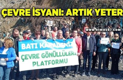 Kozlu Sahilinde Karıncalar İsyanda!