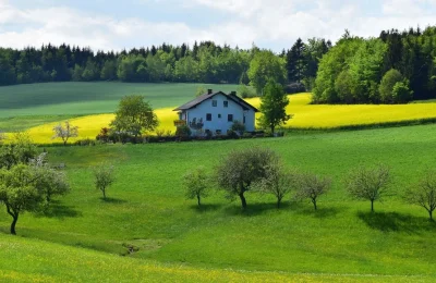 Tarla Arsa Olur mu? Tarla Nasıl Arsaya Dönüştürülür?