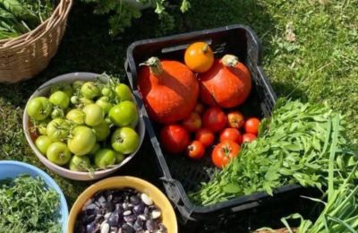 Hal Yasası çözüm mü, yük mü? Ergin Kahveci’den sert eleştiri: “Yasa takıntısından sıyrılın!”