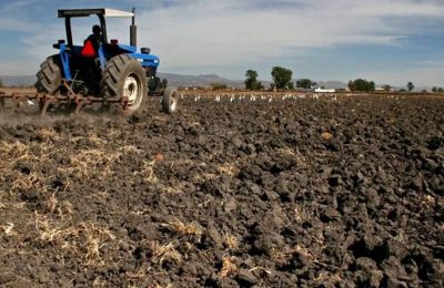 İspanya’dan çiftçiye ‘savaş’ kalkanı: 877 milyon Euro’luk dev paket!