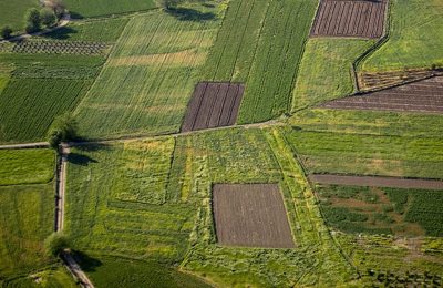 Nadas arazileri için hibe desteği: Cumhurbaşkanı kararı Resmi Gazete’de