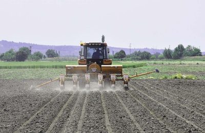 2026 tarımsal destek ödemeleri yarın başlıyor: 12.3 milyar TL hesaplarda!