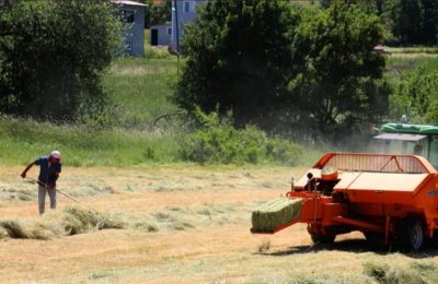 Avrupa’dan Türk tarımına ‘Mercosur’ darbesi: Ucuz et ve tahıl kapıda, Türkiye risk altında!