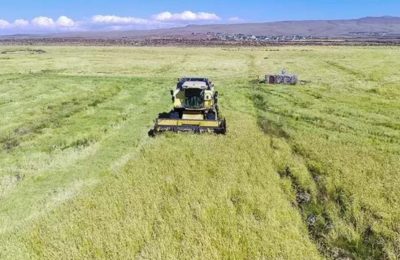2026 mazot ve gübre desteği takvimi belli oldu: 6 Mart’tan itibaren hesaplarda