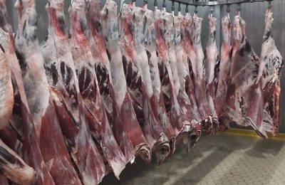 ESK’dan Köfteci Yusuf’a dev et sevkiyatı: Haftalık 50 tır!