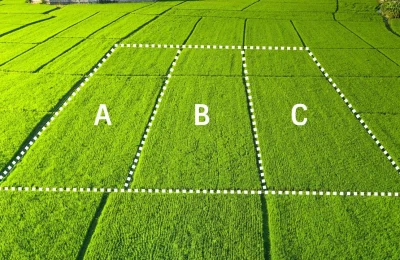 Arsa Bölme (İfraz) Nedir, Nasıl Yapılır?