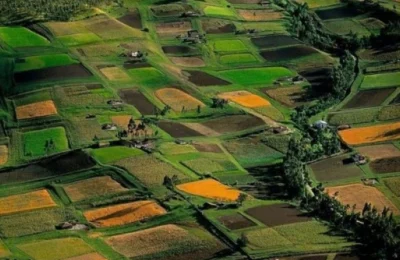 Yatırımlık Arazi Alımında Kazandıran 3 Stratejik Adım: Toprak Yatırımının Püf Noktaları