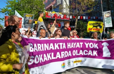 Ankara’da hayvanseverlerden yürüyüş