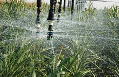 Tarlada su tasarrufuna destek: Sulama sistemlerine yüzde 70 hibe müjdesi!