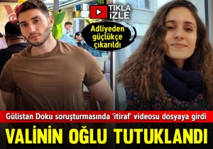 Gülistan Doku soruşturmasında tutuklu eski polisin ifadesi ortaya çıktı: ‘Vali Bey’in selamı var’
