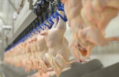 Ergin Kahveci’den et raporu: Dünya tavuğa dönüyor, sığırda kriz kapıda!