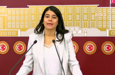 Beritan Güneş: Mardin göz göre göre ekolojik kırıma sürükleniyor