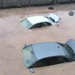 Siirt’te sel felaketi: Araçlar sulara kapıldı, hayvanlar telef oldu