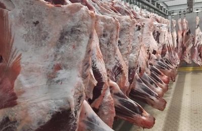 Ette “Dünya Fiyatı” yanılgısı: 8 dolarlık ithalat, sofraya nasıl “Lüks” olarak dönüyor?