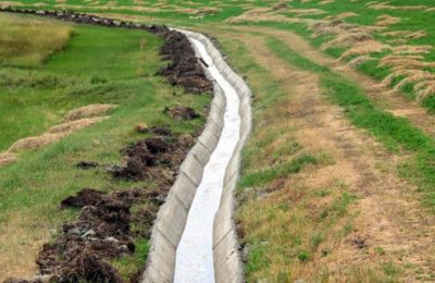Asrın sorusu: Suya göre tarım mı, tarıma göre su mu? Parçalı yönetim Türkiye’yi susuzluğa mahkum ediyor!
