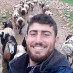 Mardin’de silahlı saldırıya uğrayan çoban öldü