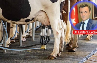 HAYGEM eski Daire Başkanı Dr. Ender Burçak’tan korkutan uyarı: “Mayıs’tan sonra süt bulmak zorlaşacak!”