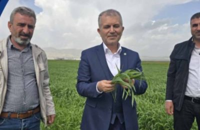 Jeopolitik kriz çiftçiyi vurdu: Mardinli hububatçılardan “Vergi Sıfırlansın” çağrısı!