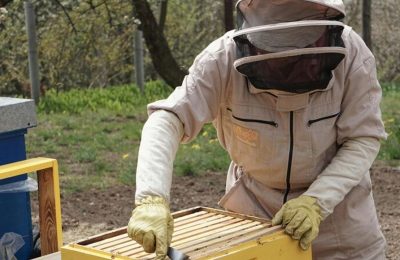 Beypazarı’nda arıcılara hibeli yem desteği yapılacak