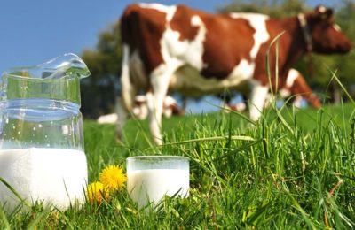 Süt/yem paritesi çakıldı: Ergin Kahveci küresel süt krizinin yol haritasını çizdi