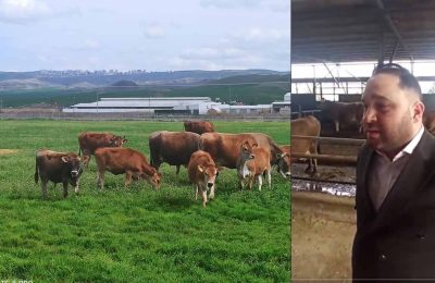 Amerika’da master yaptı, Sincan’da çiftçi oldu!