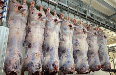 İthal ette bir ilk: ESK gelen tepkiler üzerine ilana çıktı!