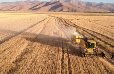 20 Nisan güncel hububat fiyatları: Ticaret borsalarında arpa şoku! Yeni hasat öncesi kritik veriler